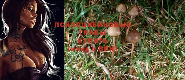 марихуана Пестово
