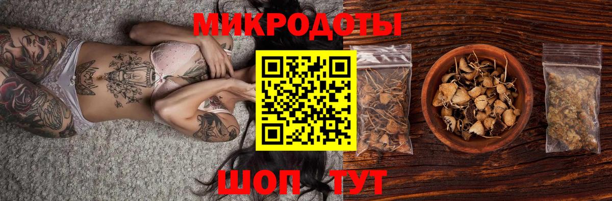 Псилоцибиновые грибы прущие грибы Советск
